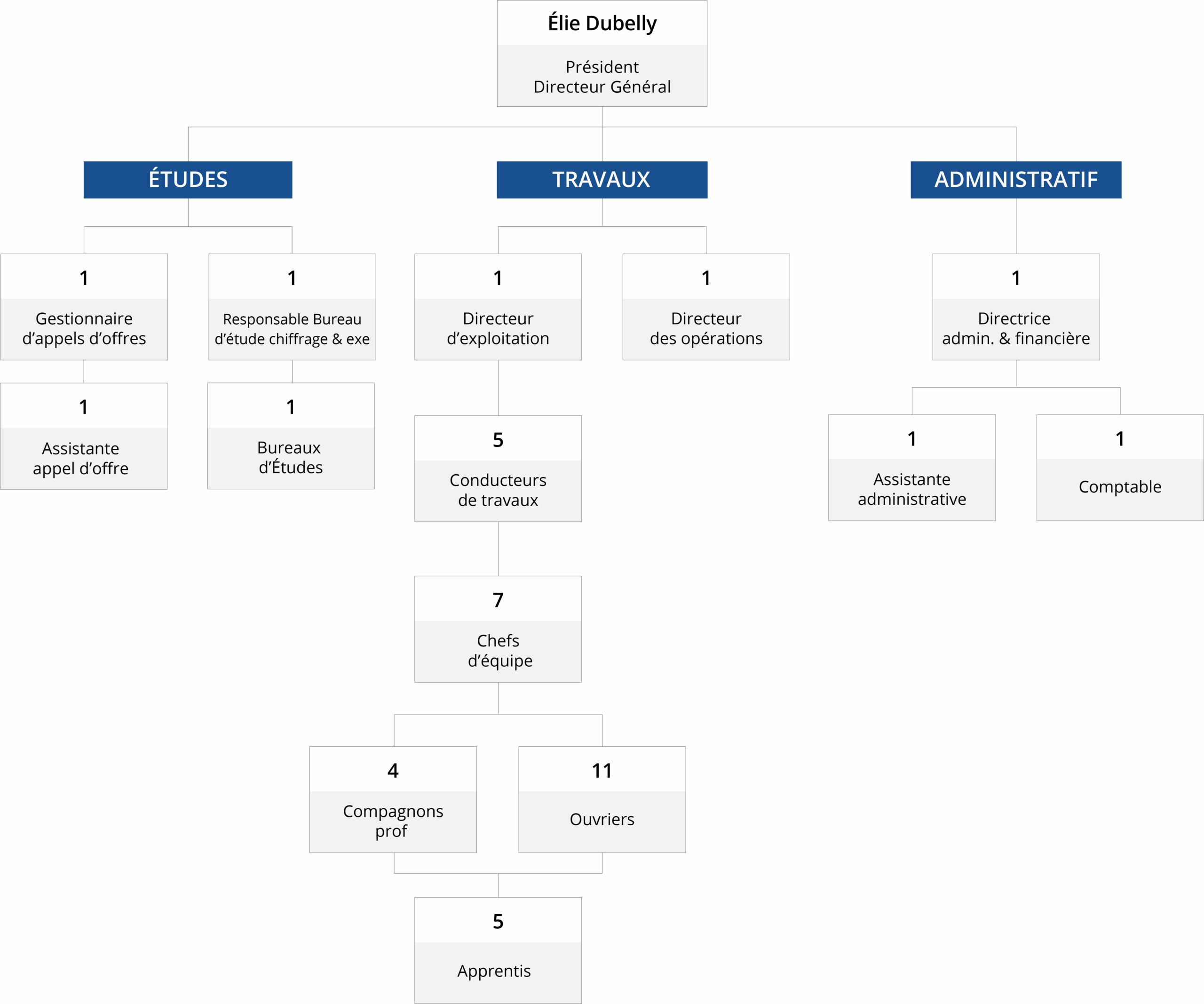 organigramme 200625 Organigramme de l'entreprise de SEEDG